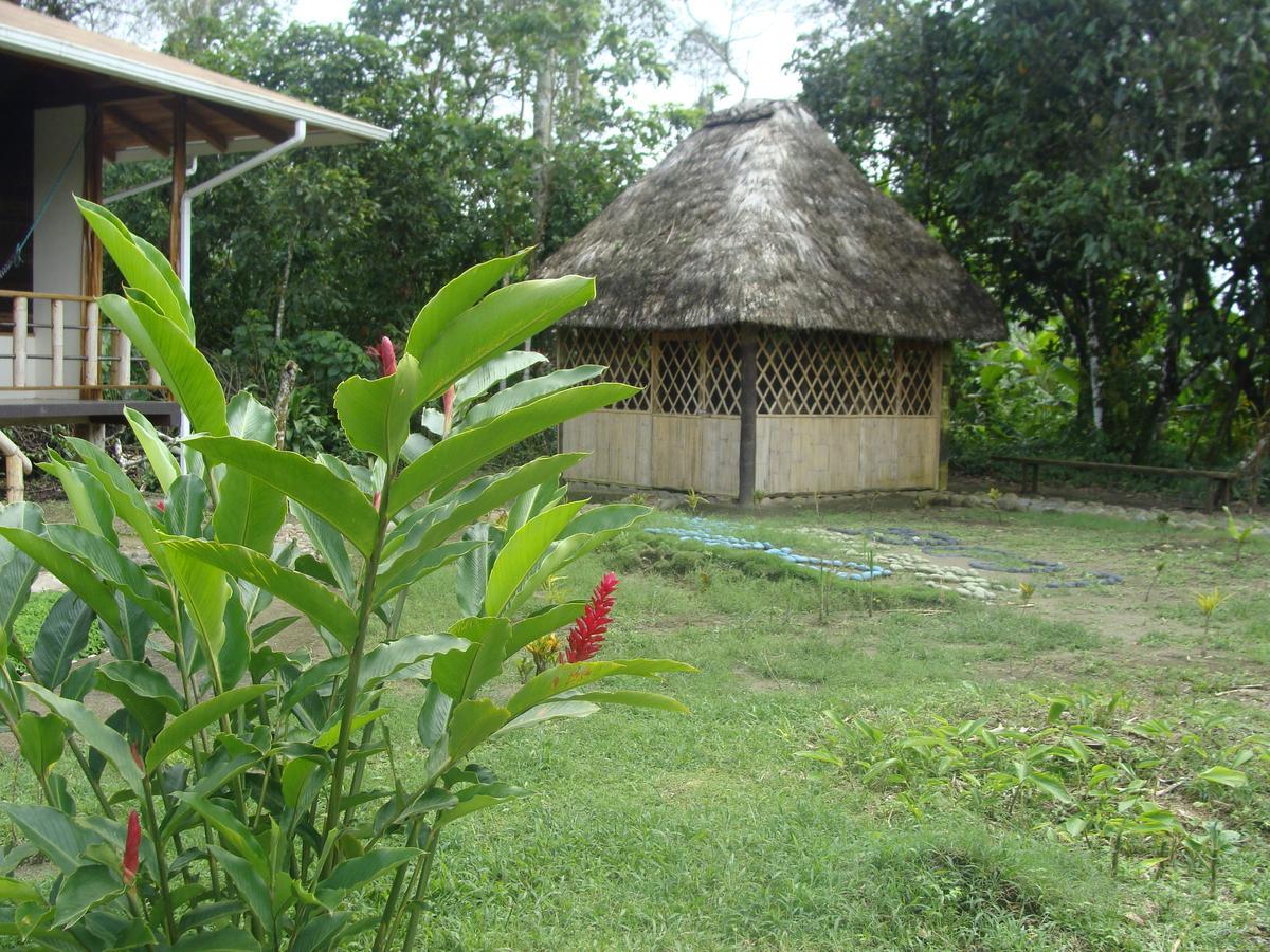 Shaman Lodge Rio Arajuno Exterior photo